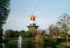 Copy of Windmill.jpg (22765 bytes)